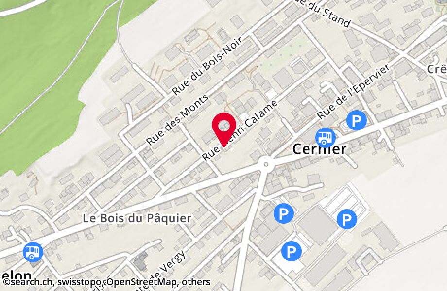 Rue Henri Calame 5, 2053 Cernier