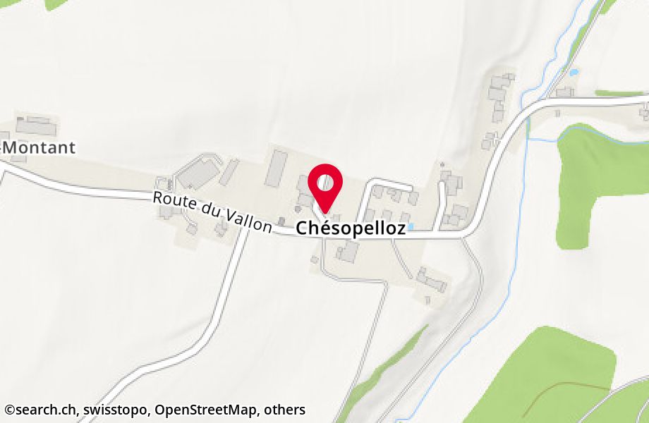 Route du Vallon 90, 1720 Chésopelloz