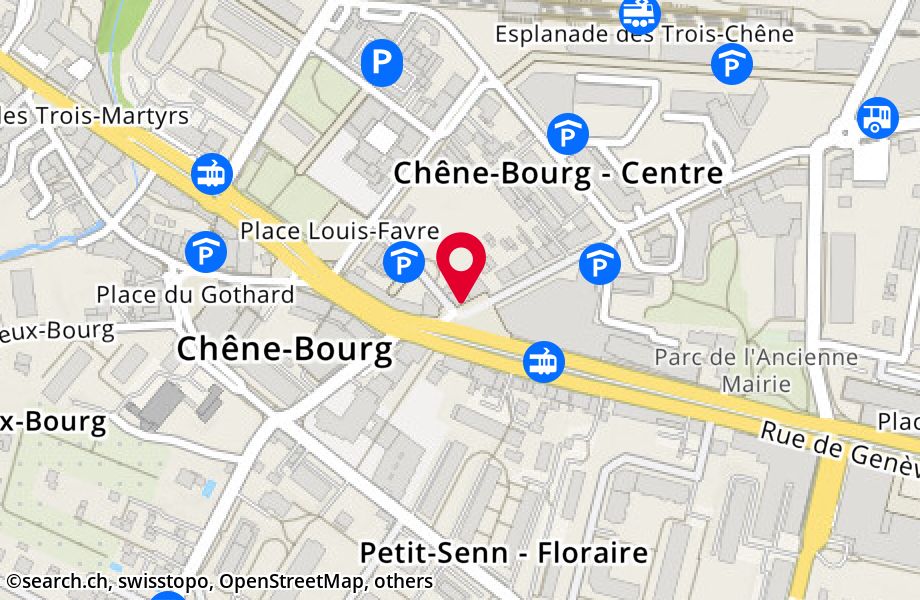 Rue Peillonnex 3, 1225 Chêne-Bourg
