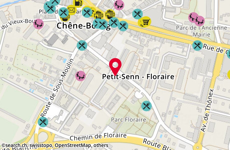 Avenue du Petit-Senn 40, 1225 Chêne-Bourg