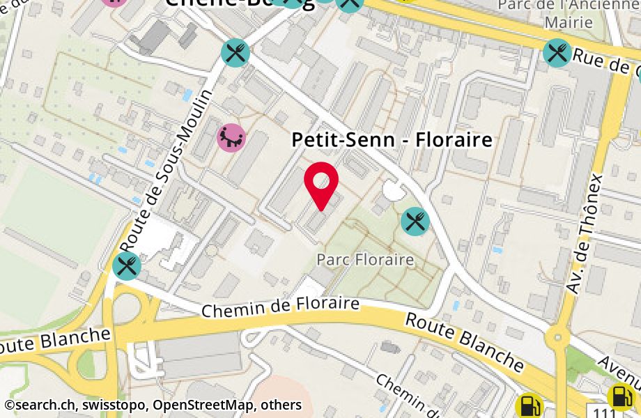 Avenue du Petit-Senn 42A, 1225 Chêne-Bourg