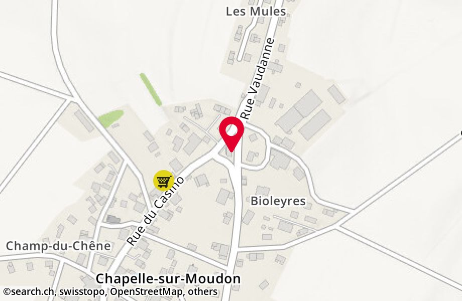 Rue du Casino 22, 1063 Chapelle-sur-Moudon