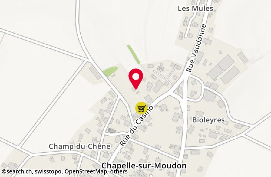 Route de Boulens 2, 1063 Chapelle-sur-Moudon