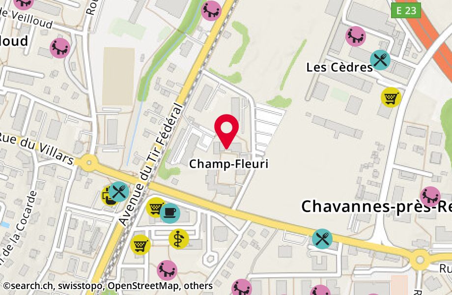 Rue de Champ-Fleuri 6, 1022 Chavannes-près-Renens