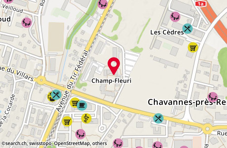 Rue de Champ-Fleuri 8, 1022 Chavannes-près-Renens