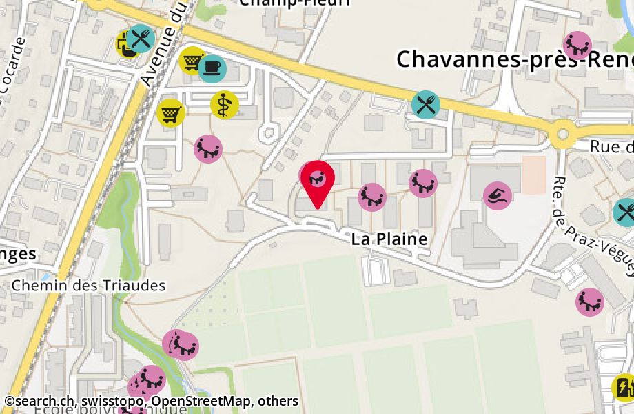 Route de la Plaine 16, 1022 Chavannes-près-Renens