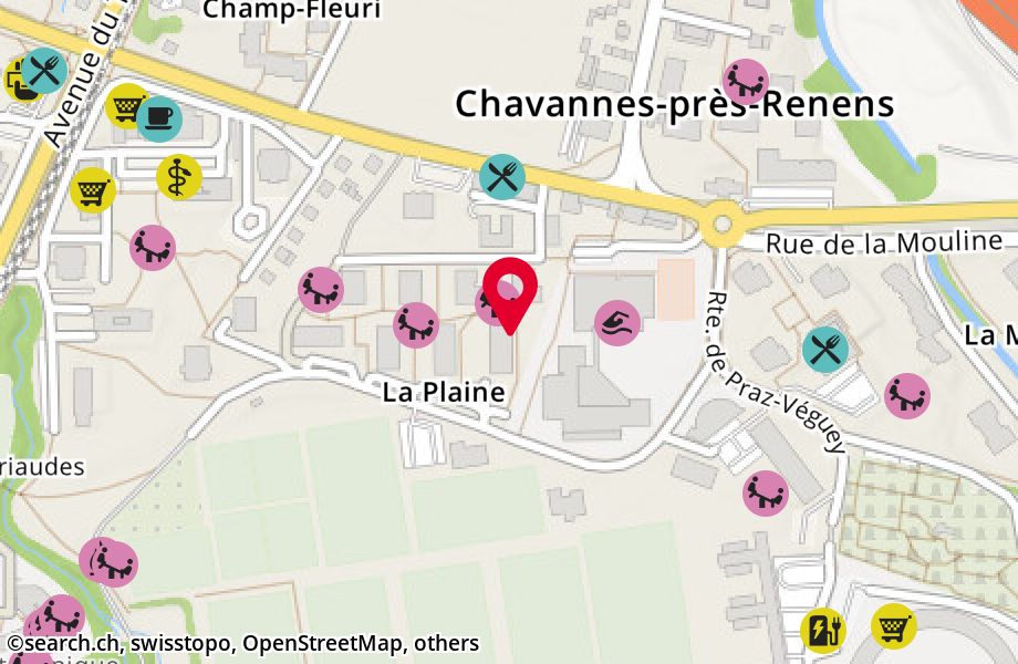 Route de la Plaine 6, 1022 Chavannes-près-Renens