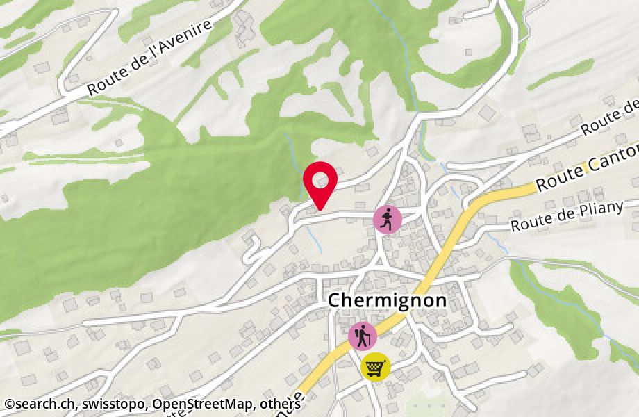 Route du Mellir 8, 3971 Chermignon