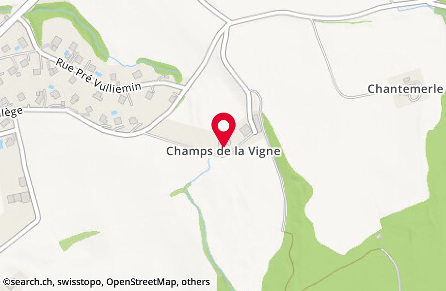 Chemin des Champs de la Vigne 1, 1400 Cheseaux-Noréaz