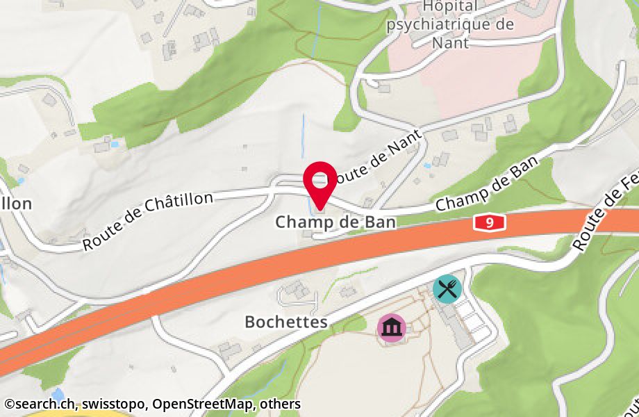 Chemin de Champ de Ban 2, 1804 Corsier-sur-Vevey
