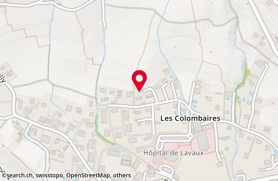 Chemin des Colombaires 46A, 1096 Cully