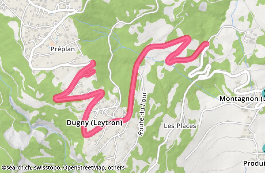 Route d'Ovronnaz, 1912 Dugny (Leytron)
