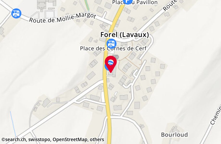 Route de Vevey 1, 1072 Forel (Lavaux)
