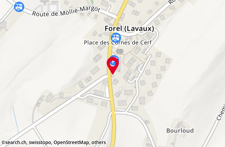 Route de Vevey 1BIS, 1072 Forel (Lavaux)