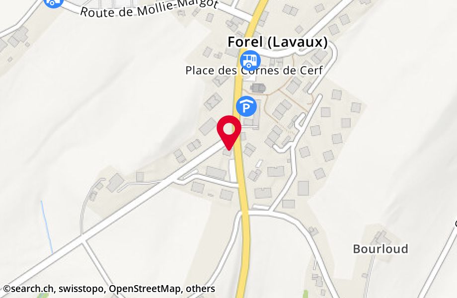 Route de Vevey 2, 1072 Forel (Lavaux)