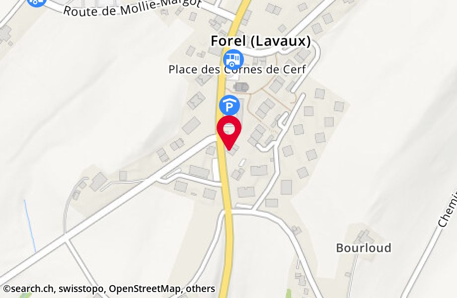 Route de Vevey 3, 1072 Forel (Lavaux)