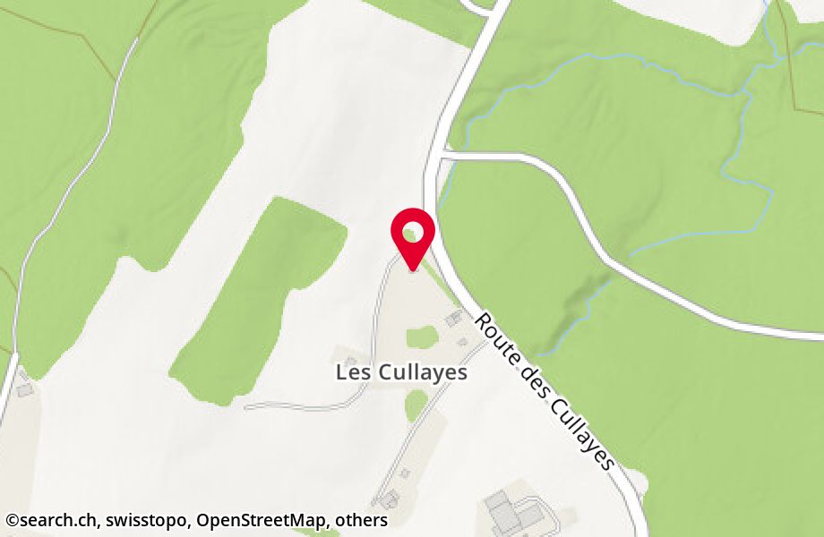 Route des Cullayes 13, 1072 Forel (Lavaux)