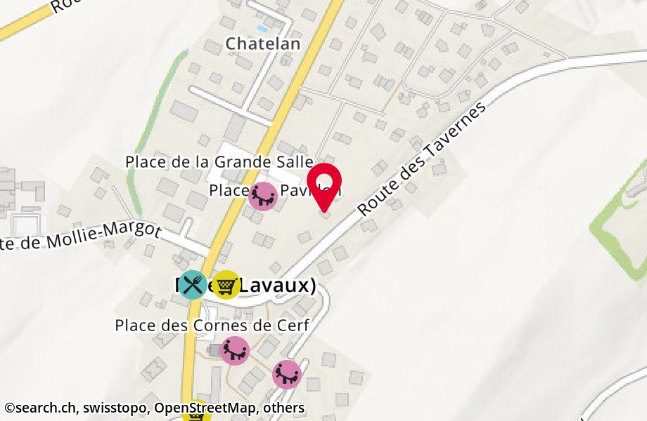 Route des Tavernes 7BIS, 1072 Forel (Lavaux)