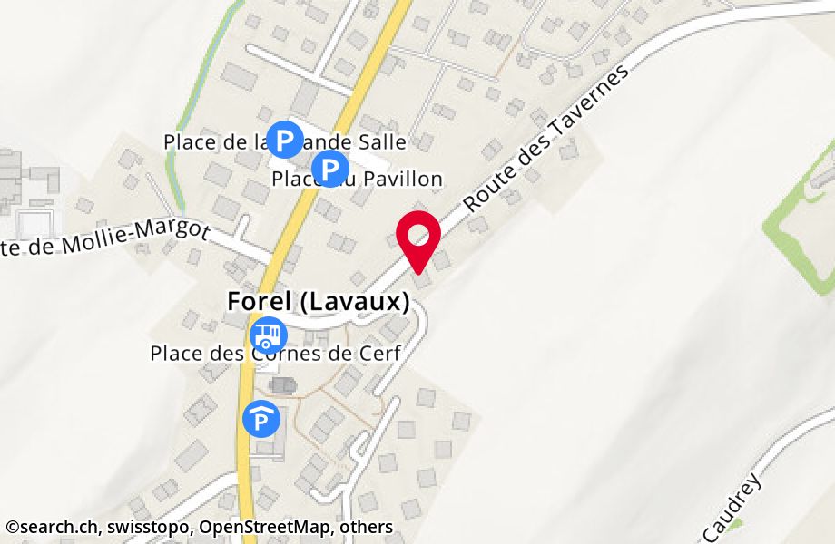 Route des Tavernes 8, 1072 Forel (Lavaux)
