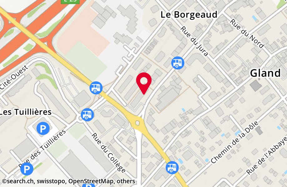 Rue du Borgeaud 1B, 1196 Gland