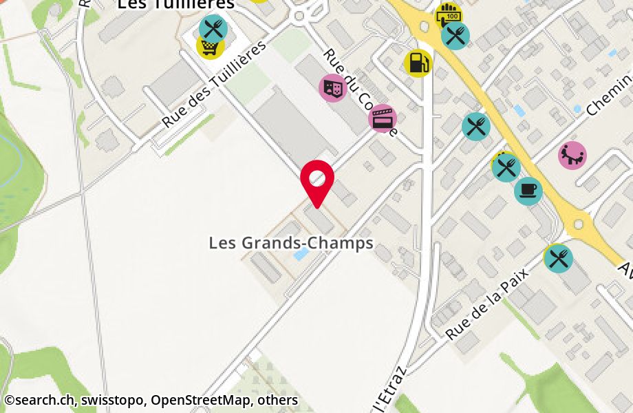 Chemin des Grands-Champs 4, 1196 Gland