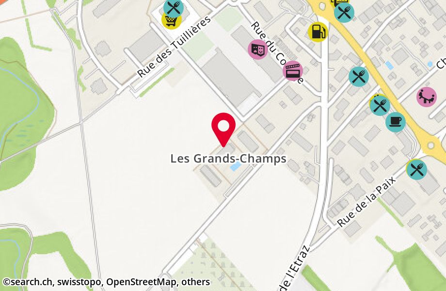 Chemin des Grands-Champs 6, 1196 Gland