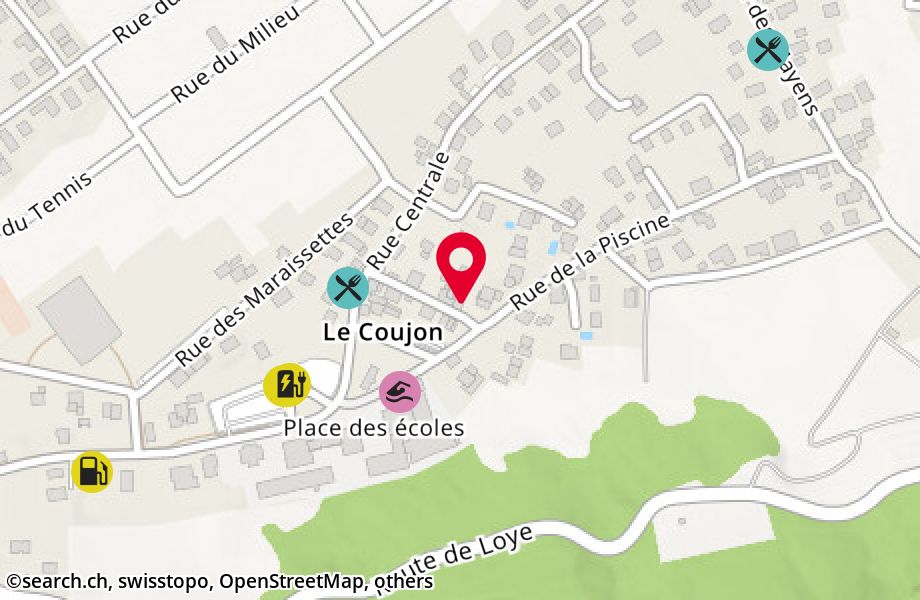 Rue du Coujon 19, 3979 Grône