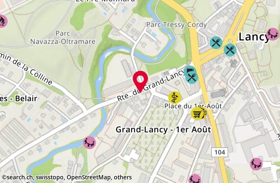 Route du Grand-Lancy 81, 1212 Grand-Lancy