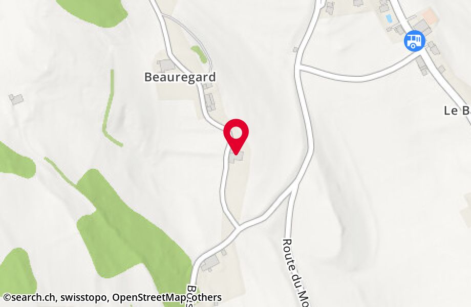 Chemin de Beauregard 29, 1614 Granges (Veveyse)