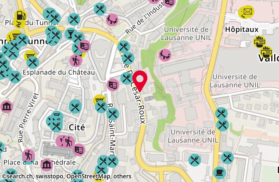 Rue Dr César-Roux 23, 1005 Lausanne