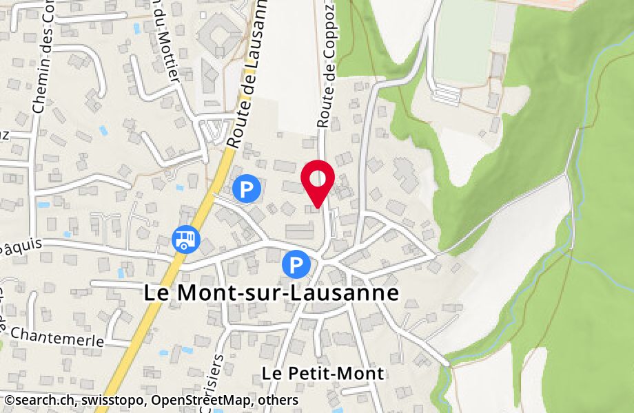 Route de Coppoz 1, 1052 Le Mont-sur-Lausanne