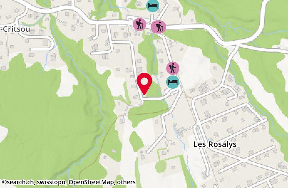 Route des Rosalys 38, 1619 Les Paccots