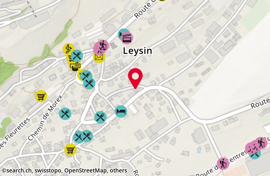 Route des Ormonts 11, 1854 Leysin