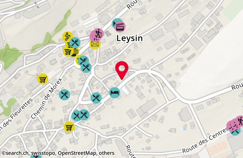 Route des Ormonts 9, 1854 Leysin