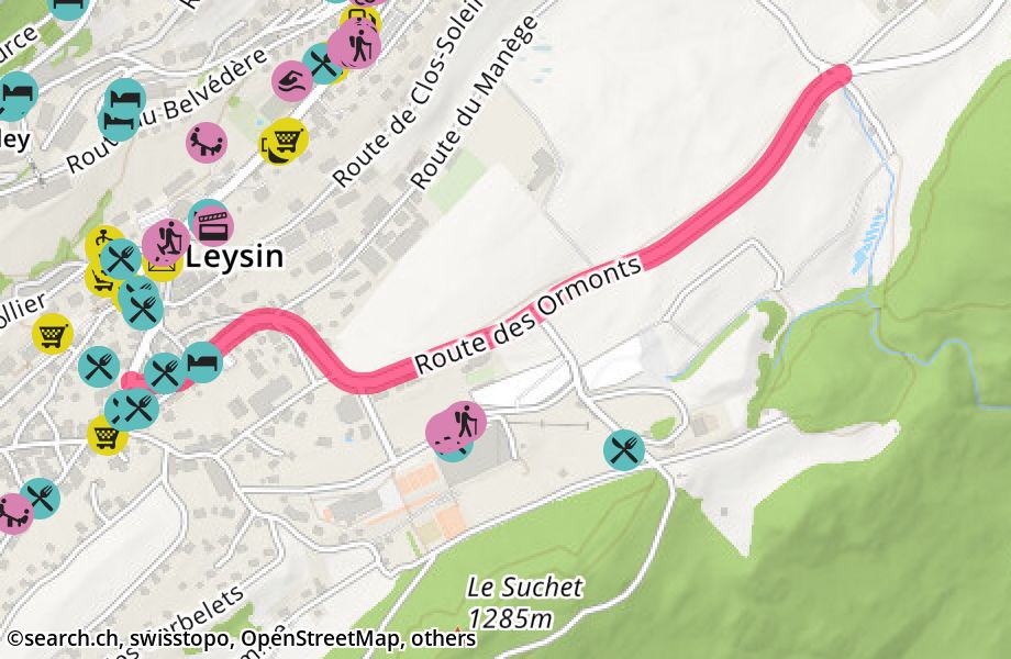 Route des Ormonts, 1854 Leysin