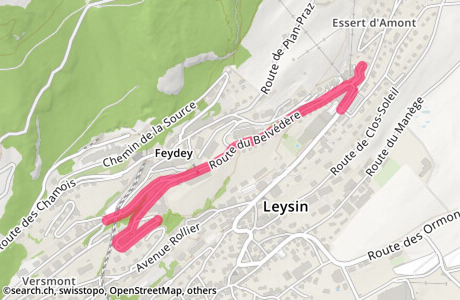 Route du Belvédère, 1854 Leysin