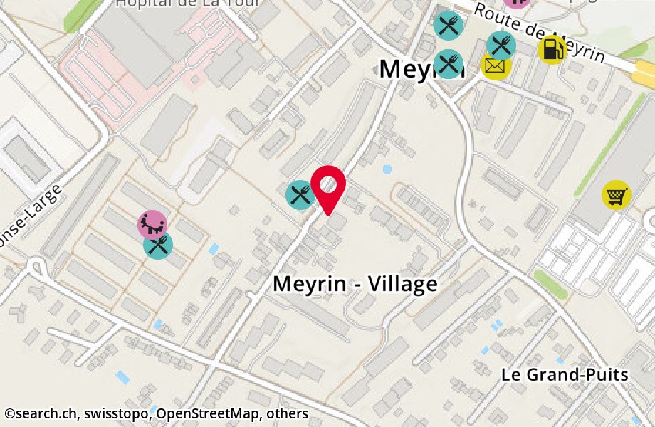 Rue Virginio-Malnati 37, 1217 Meyrin