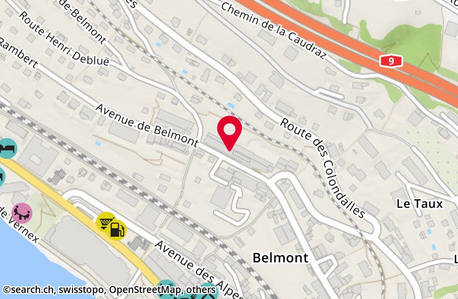 Avenue de Belmont 48, 1820 Montreux