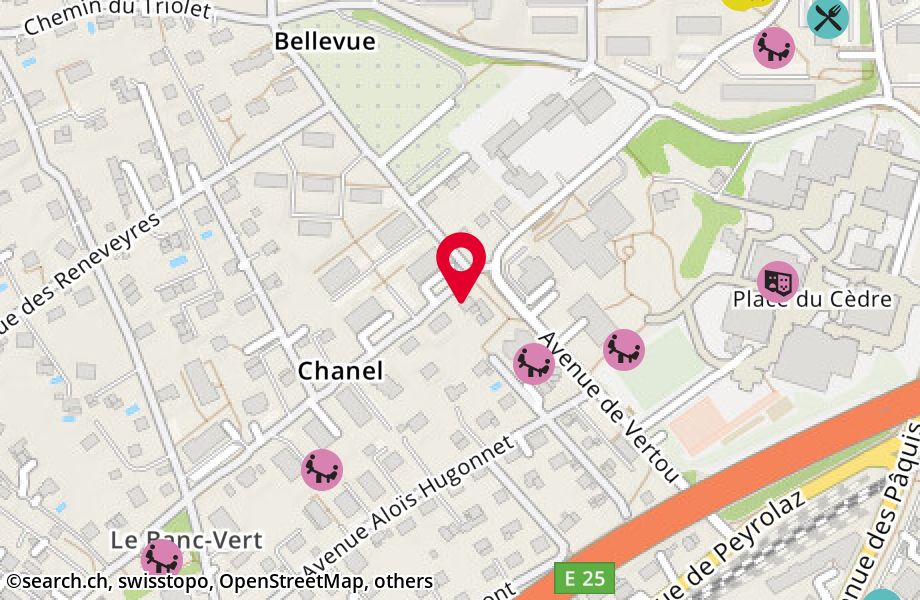 Avenue de Chanel 24, 1110 Morges