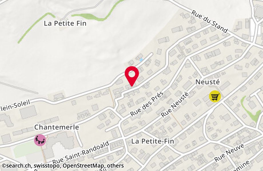 Champ-Coquin 4, 2740 Moutier