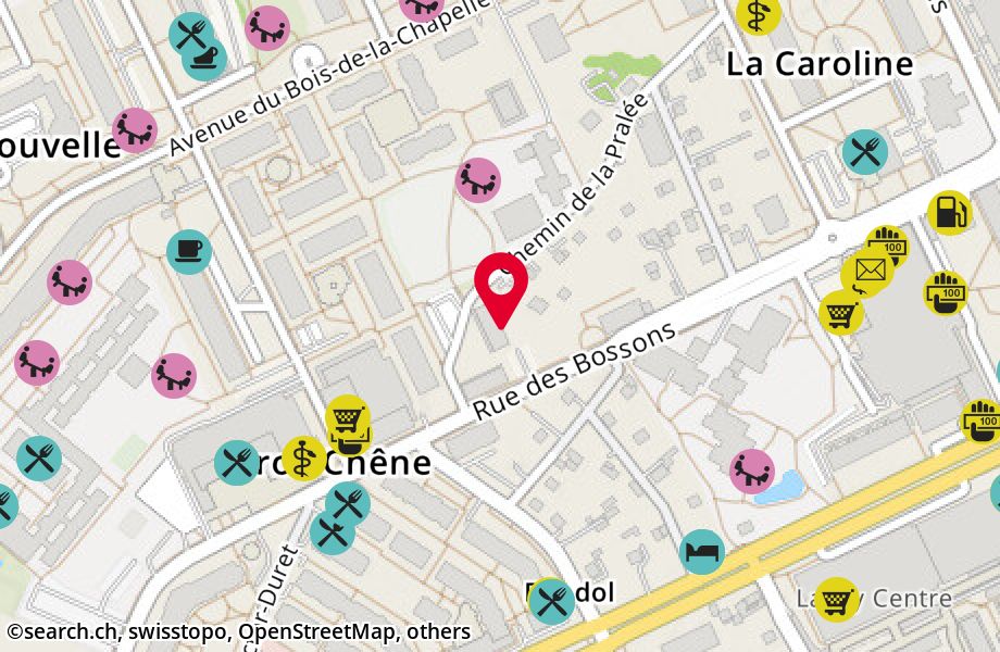 Rue des Bossons 33, 1213 Onex