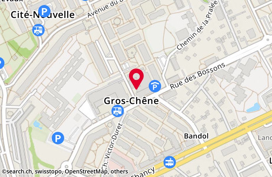 Avenue du Gros-Chêne 14, 1213 Onex