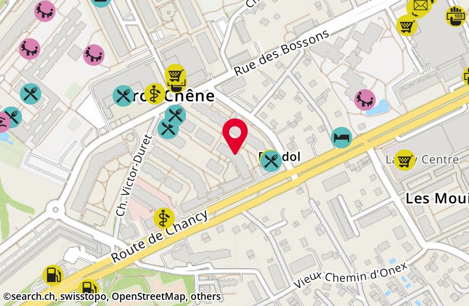 Chemin Victor-Duret 42, 1213 Onex