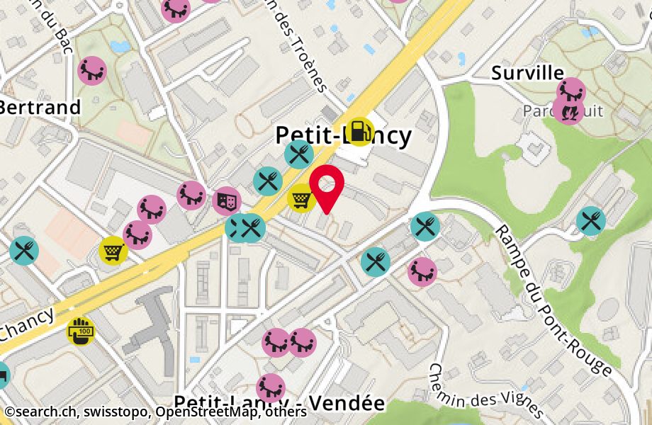 Place des Ormeaux 23, 1213 Petit-Lancy