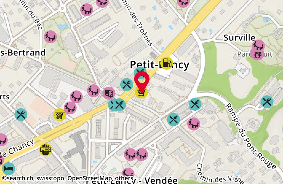 Place des Ormeaux 3, 1213 Petit-Lancy