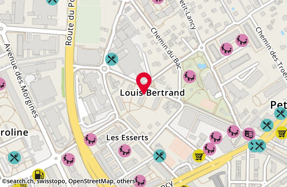 Avenue Louis-Bertrand 21, 1213 Petit-Lancy