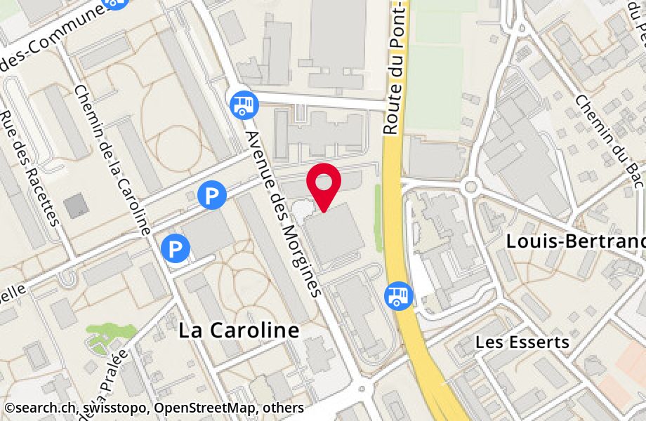 Avenue des Morgines 12, 1213 Petit-Lancy