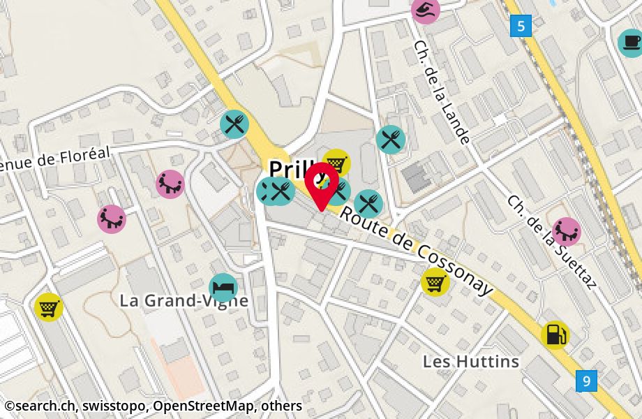 Route de Cossonay 17, 1008 Prilly