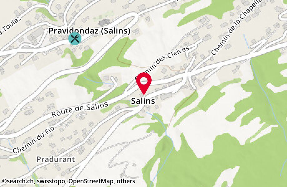 Route de Salins-Veysonnaz 12, 1991 Salins