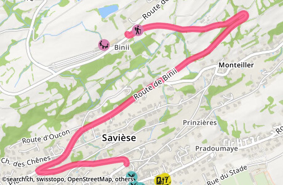 Route de Binii, 1965 Savièse